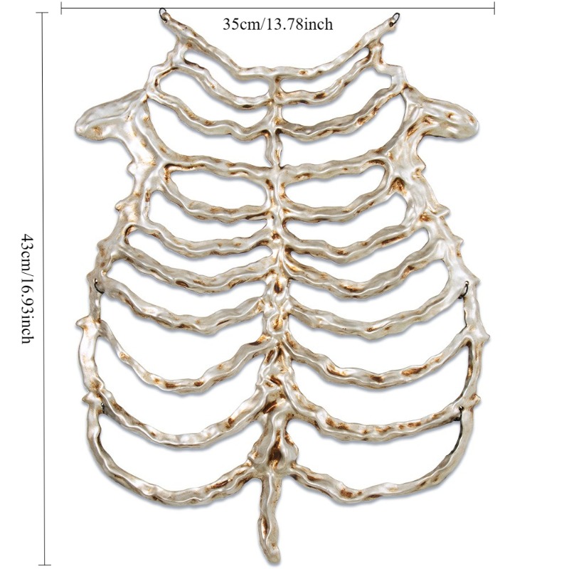 Skull Skeleton Prop For Party  - Cosplay Prop 评论和价格
